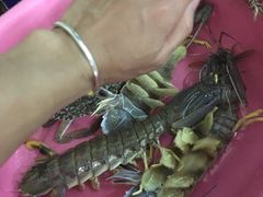 -班赞海鲜市场