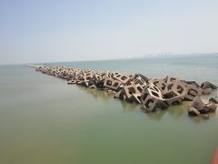 -东疆建设开发纪念公园
