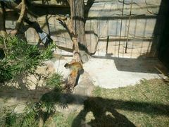 -泉州海丝野生动物世界