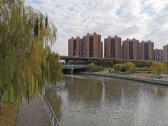 -映月湖中央公园