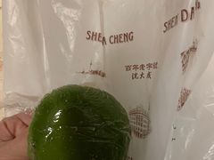 -沈大成(城隍庙店)