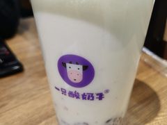 -一只酸奶牛(曲江龙湖星悦荟店)