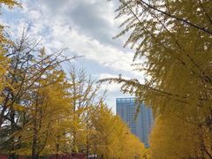 -辽宁大学(崇山校区)