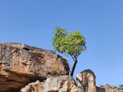 -海珠儿童公园