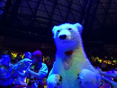 -俄罗斯国家大马戏团