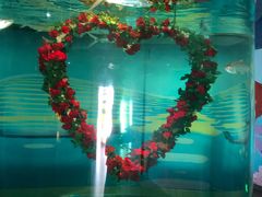 -北戴河圣蓝海洋公园