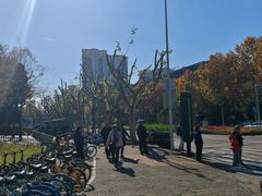 -证大大拇指广场(芳甸路店)