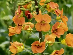 -中国天府农业博览园