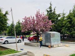 -秦始皇帝陵博物院(兵马俑)