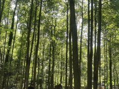 -贵州森林野生动物园