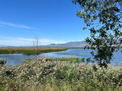 -野鸭湖国家湿地公园