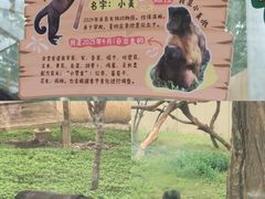 -合肥野生动物园