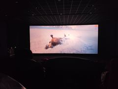 -万达影城(闵行颛桥万达广场杜比影院店)