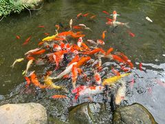 -一品烧农庄·佛山本地特色菜