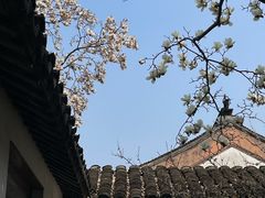 -常熟方塔园