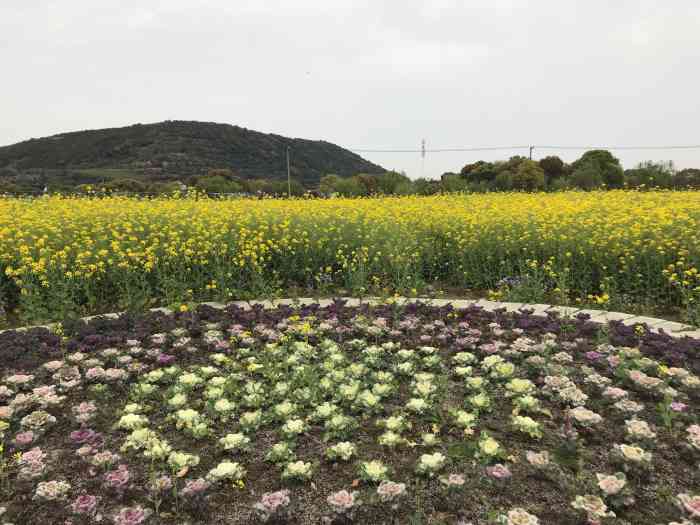 苏州太湖西山岛开心农场