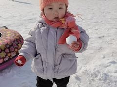 -1982农场