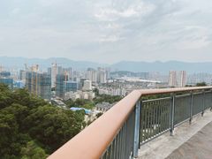 -金鸡山公园