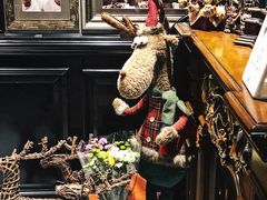 -TINTIN CAKE BOUTIQUE(台北壹店)