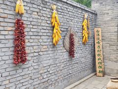 -白洋淀风景区