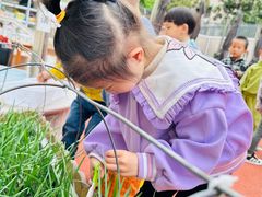-徐汇区陇龙幼稚园
