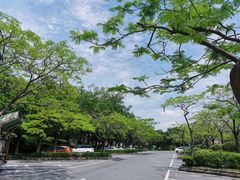 -三水森林公园