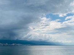 -野菌皇海景野生菌火锅(滨海大道店)