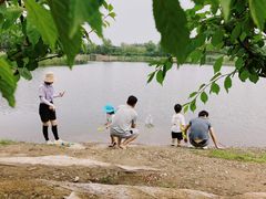 -永定河休闲森林公园