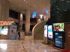 -深圳东部华侨城瀑布酒店