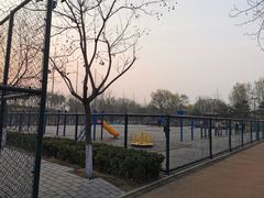 -东升文体公园