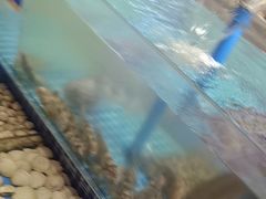 -鲜得莱渔港·小平岛海胆馆(七贤岭店)
