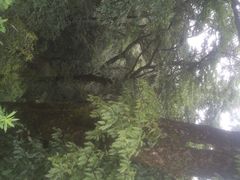 阳明山国家森林公园-永州阳明山国家森林公园