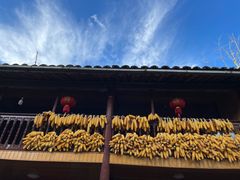 -腾冲国萍农家乐