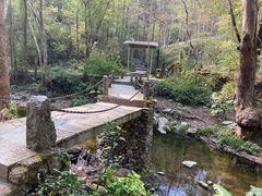 -桂林古东瀑布景区
