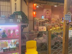 -卡通尼乐园(新达汇三林店)
