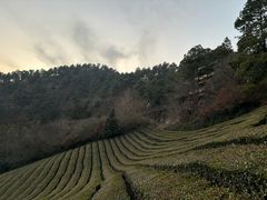 -敬亭山风景名胜区