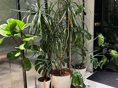 -一尺花园(安和花园店)