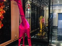 -乐酷·K歌之王潮流KTV(长江国际大厦店)