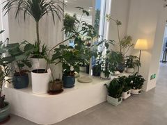 -苏州古运河逸衡酒店