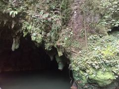 -怀托摩萤火虫洞