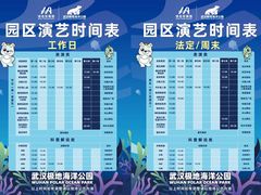 -海合安武汉极地海洋公园