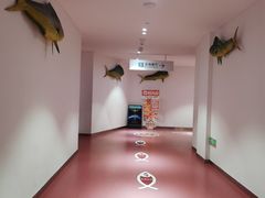 -深海中餐厅(国家海洋博物馆店)