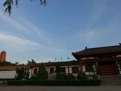 -黑河国家森林公园