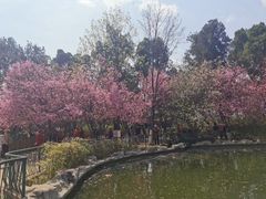 -昆明动物园