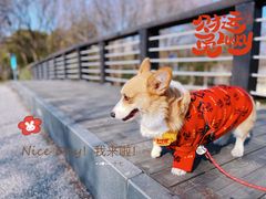 -九里河湿地公园