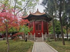 -西安碑林博物馆