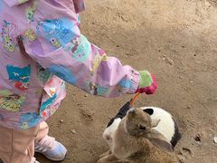 -前小桔亲子创意农场·草莓采摘·露营烧烤