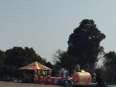 -梁鸿国家湿地公园