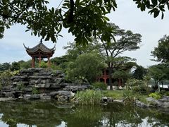 -顺峰山公园