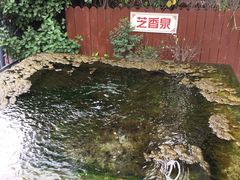 -泉乐坊步行街(烟酒特产平价超市店)